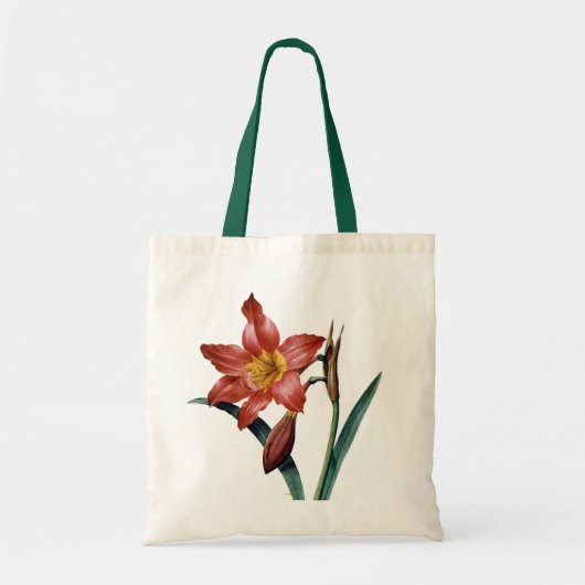 Amaryllis Tragetasche (Vorne)
