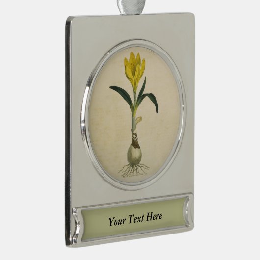 Amaryllis Tulip Botanischer Garten Blume Banner-Ornament Silber (Rechts)