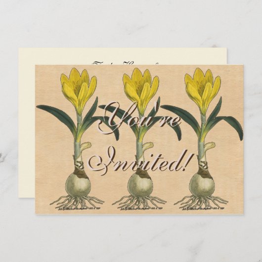 Amaryllis Tulip Botanischer Garten Blume Einladung (Vorne/Hinten)