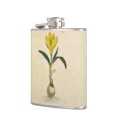 Amaryllis Tulip Botanischer Garten Blume Flachmann (Links)