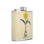 Amaryllis Tulip Botanischer Garten Blume Flachmann (Rechts)