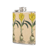 Amaryllis Tulip Botanischer Garten Blume Flachmann (Links)