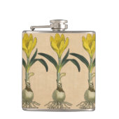 Amaryllis Tulip Botanischer Garten Blume Flachmann (Vorderseite)