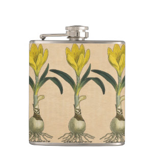 Amaryllis Tulip Botanischer Garten Blume Flachmann