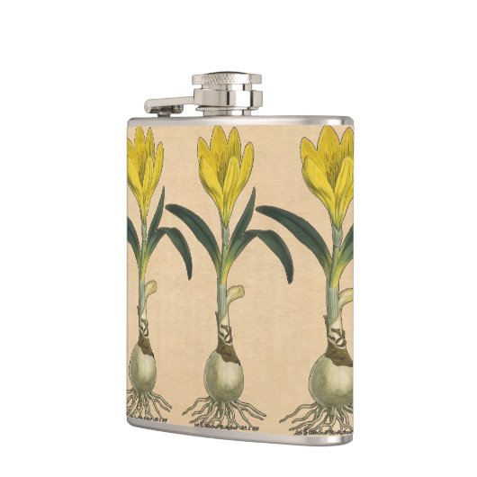 Amaryllis Tulip Botanischer Garten Blume Flachmann (Links)