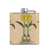 Amaryllis Tulip Botanischer Garten Blume Flachmann (Rückseite)