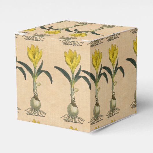 Amaryllis Tulip Botanischer Garten Blume Geschenkschachtel (Vorderseite)