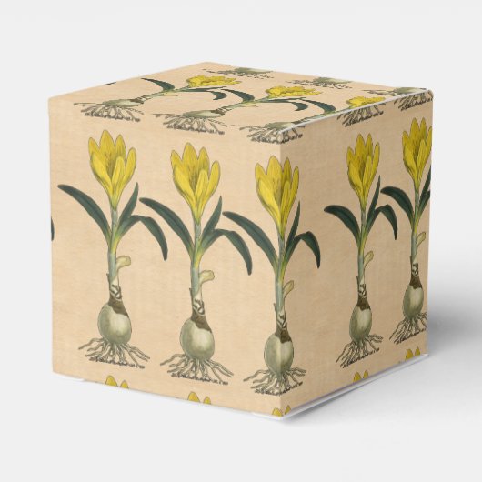 Amaryllis Tulip Botanischer Garten Blume Geschenkschachtel (Rückseite)