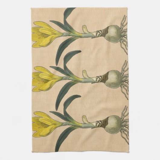 Amaryllis Tulip Botanischer Garten Blume Geschirrtuch (Vertikal)