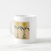 Amaryllis Tulip Botanischer Garten Blume Kaffeetasse (Vorderseite Links)
