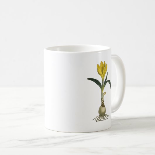 Amaryllis Tulip Botanischer Garten Blume Kaffeetasse (VorderseiteRechts)