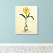 Amaryllis Tulip Botanischer Garten Blume Leinwanddruck (Insitu (Holzboden))