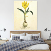 Amaryllis Tulip Botanischer Garten Blume Leinwanddruck (Insitu (Schlafzimmer))