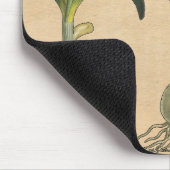 Amaryllis Tulip Botanischer Garten Blume Mousepad (Ecke)