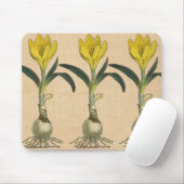 Amaryllis Tulip Botanischer Garten Blume Mousepad (Mit Mouse)