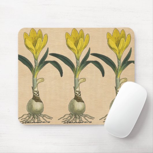 Amaryllis Tulip Botanischer Garten Blume Mousepad (Mit Mouse)