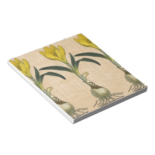 Amaryllis Tulip Botanischer Garten Blume Notizblock (angewinkelt)