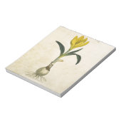 Amaryllis Tulip Botanischer Garten Blume Notizblock (Rotiert)