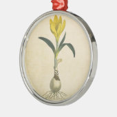 Amaryllis Tulip Botanischer Garten Blume Ornament Aus Metall (Links)