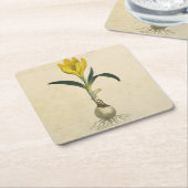 Amaryllis Tulip Botanischer Garten Blume Rechteckiger Pappuntersetzer (angewinkelt)