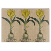 Amaryllis Tulip Botanischer Garten Blume Schneidebrett (Vorderseite)