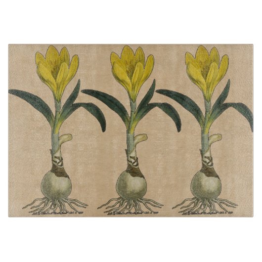 Amaryllis Tulip Botanischer Garten Blume Schneidebrett (Vorderseite)