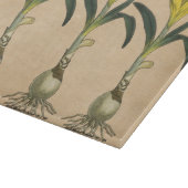 Amaryllis Tulip Botanischer Garten Blume Schneidebrett (Ecke)