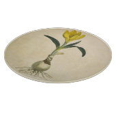 Amaryllis Tulip Botanischer Garten Blume Schneidebrett (Ecke)