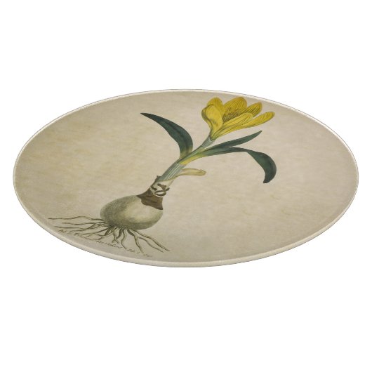 Amaryllis Tulip Botanischer Garten Blume Schneidebrett (Ecke)