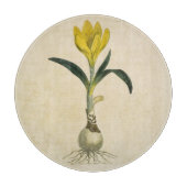 Amaryllis Tulip Botanischer Garten Blume Schneidebrett (Vorderseite)