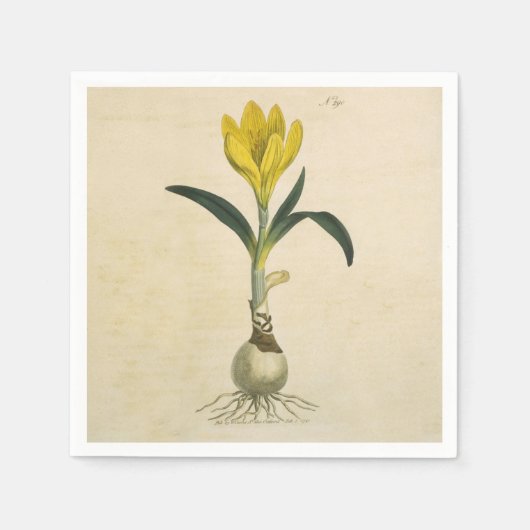 Amaryllis Tulip Botanischer Garten Blume Serviette (Vorderseite)