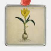 Amaryllis Tulip Botanischer Garten Blume Silbernes Ornament (Vorne)