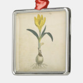 Amaryllis Tulip Botanischer Garten Blume Silbernes Ornament (Links)