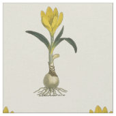 Amaryllis Tulip Botanischer Garten Blume Stoff (Nahaufnahme)