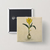 Amaryllis-Tulpe-Botanischer Garten-Blume Button (Vorne & Hinten)