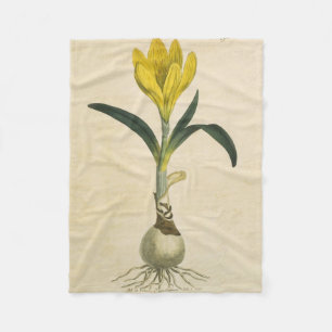Amaryllis-Tulpe-Botanischer Garten-Blume Fleecedecke