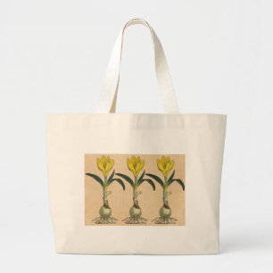 Amaryllis-Tulpe-Botanischer Garten-Blume Jumbo Stoffbeutel
