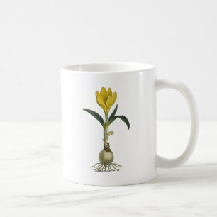 Amaryllis-Tulpe-Botanischer Garten-Blume Kaffeetasse