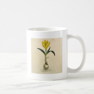 Amaryllis-Tulpe-Botanischer Garten-Blume Kaffeetasse
