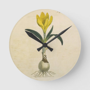 Amaryllis-Tulpe-Botanischer Garten-Blume Runde Wanduhr