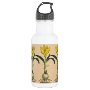 Amaryllis-Tulpe-Botanischer Garten-Blume Trinkflasche