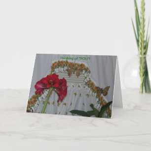 Amaryllis u. Schmetterlinge, denkend an Sie Karte