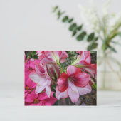 Amaryllis und Poinsettia Rote Blume Feiertagspostkarte (Stehend Vorderseite)