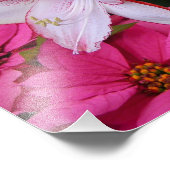 Amaryllis und Poinsettia Rote Blume Fotodruck (Ecke)