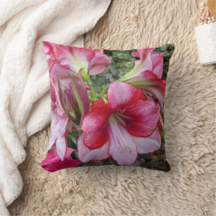 Amaryllis und Poinsettia Rote Blume Kissen