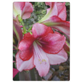 Amaryllis und Poinsettia Rote Blume Klemmbrett (Rückseite)