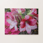 Amaryllis und Poinsettia Rote Blume Puzzle (Horizontal)