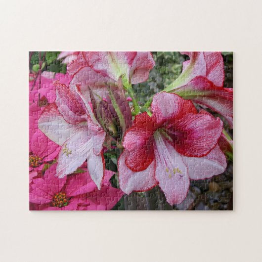 Amaryllis und Poinsettia Rote Blume Puzzle (Horizontal)