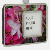 Amaryllis und Poinsettia Rote Blume Rahmen-Ornament Silber (Rechts)