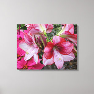 Amaryllis und Weihnachtsstern rote Feiertagsblumen Leinwanddruck